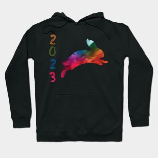 The Year Of The Rabbit Chinese Zodiac Lunar New Year Hoodie